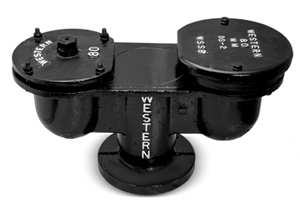 double air valve